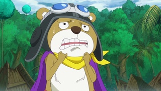 One Piece: Zou (751-782) The Legendary Journey! The Dog and the Cat and the  Pirate King! - Watch on Crunchyroll