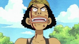One Piece Special Edition (HD, Subtitled): East Blue (1-61) Precursor to a  New Adventure! Apis, a Mysterious Girl! - Watch on Crunchyroll