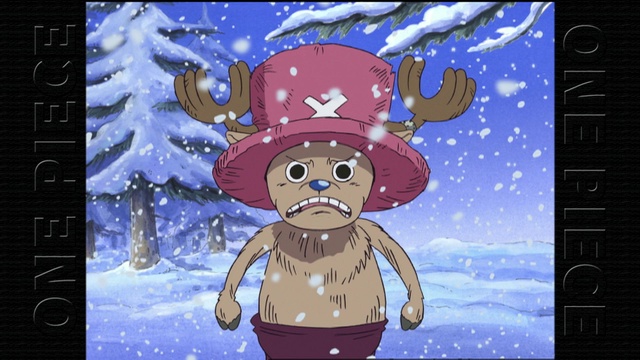 One Piece: Water 7 (207-325) (English Dub) A Mysterious Boy With a